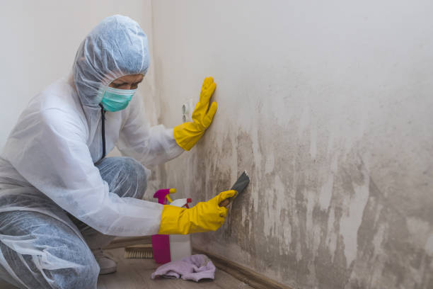 Best Crawl Space Mold Removal  in King, WI