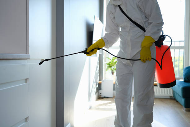 Best Residential Mold Removal  in King, WI